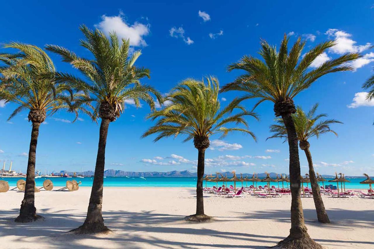Concha Alcúdia